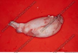 Photo Textures of RAW Pork Meat